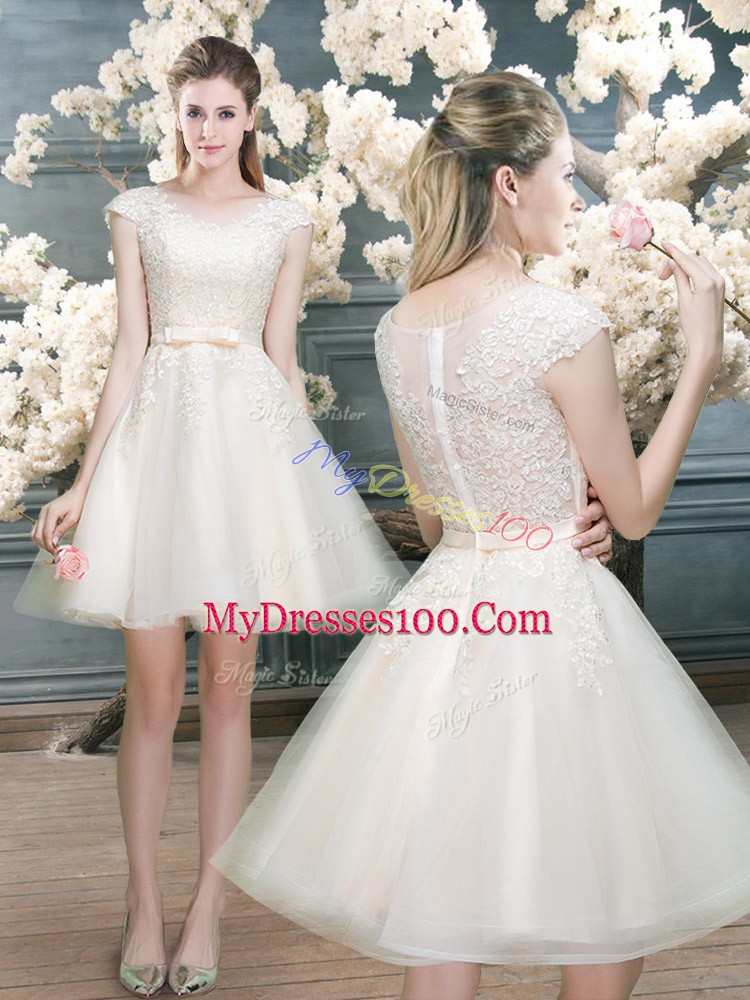 Pretty Cap Sleeves Zipper Mini Length Lace Evening Wear