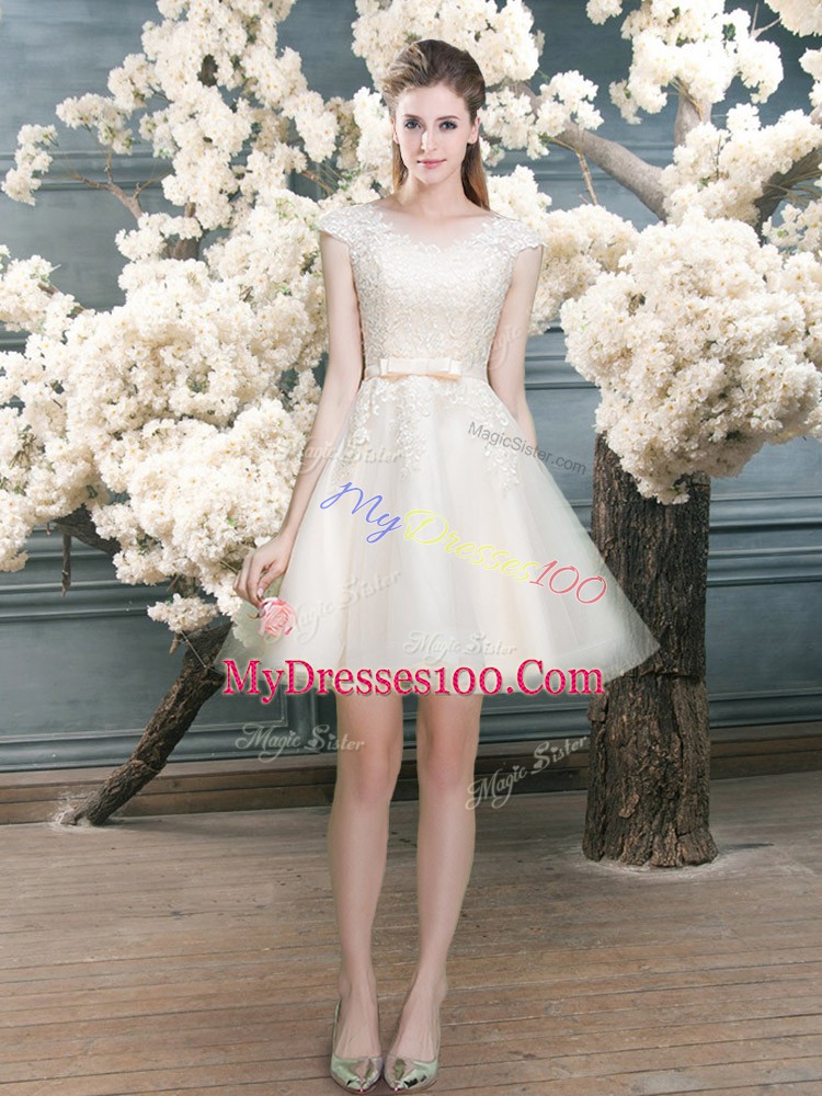 Pretty Cap Sleeves Zipper Mini Length Lace Evening Wear