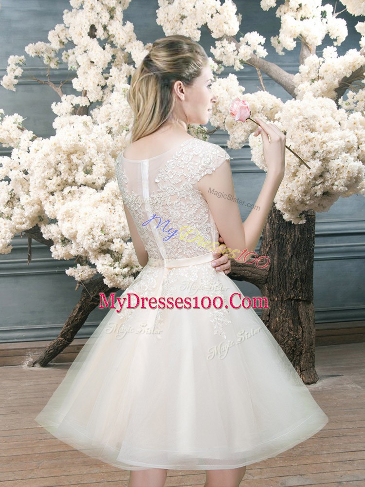 Pretty Cap Sleeves Zipper Mini Length Lace Evening Wear