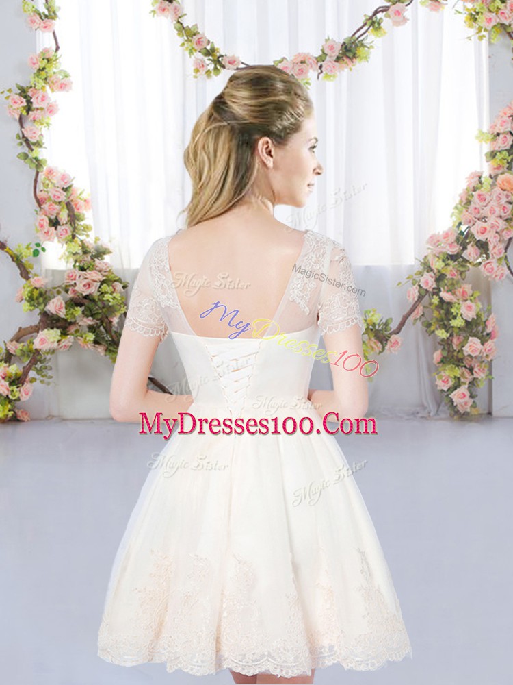 Discount Champagne A-line Scoop Short Sleeves Tulle Mini Length Lace Up Lace Damas Dress