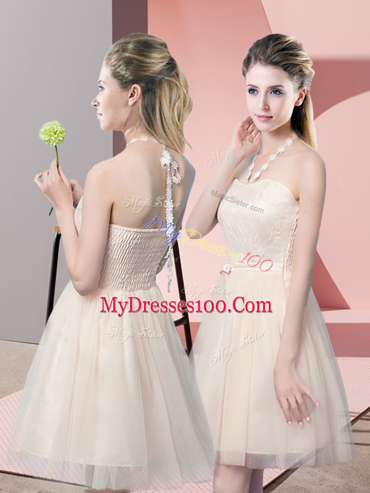 Great Champagne Tulle Side Zipper Evening Dress Sleeveless Mini Length Lace