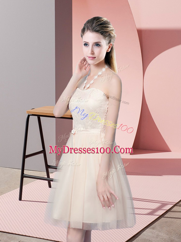 Great Champagne Tulle Side Zipper Evening Dress Sleeveless Mini Length Lace