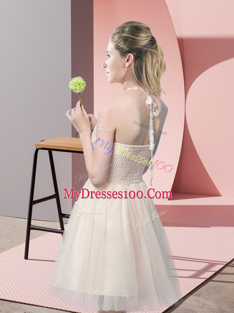 Great Champagne Tulle Side Zipper Evening Dress Sleeveless Mini Length Lace