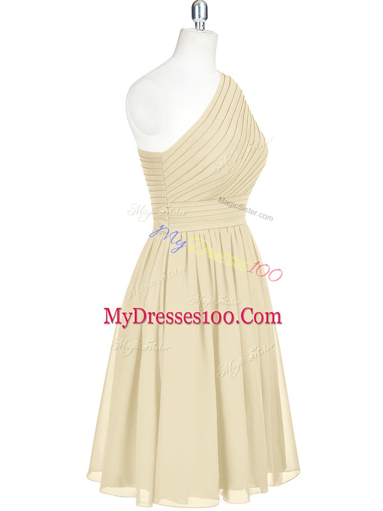 Luxurious Champagne Sleeveless Chiffon Zipper Prom Gown for Prom and Party