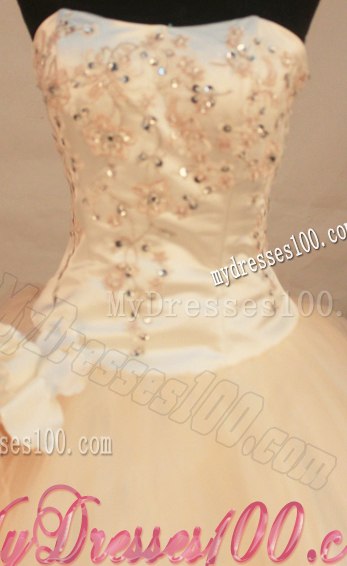 Champagne Beaded Organza Quinceanera Dresses Handmade Flower