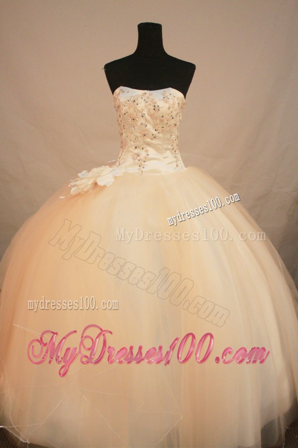 Champagne Beaded Organza Quinceanera Dresses Handmade Flower