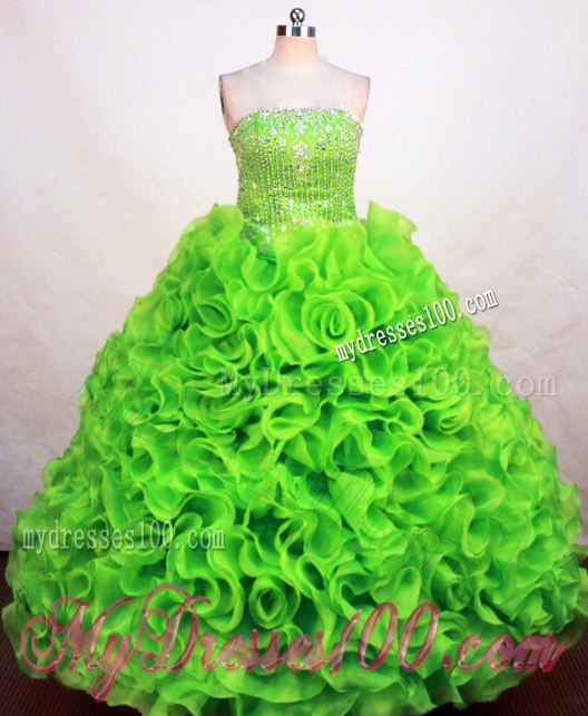 Beautiful Rolling Flower Beaded Sweet 16 Dresses in Spring Green