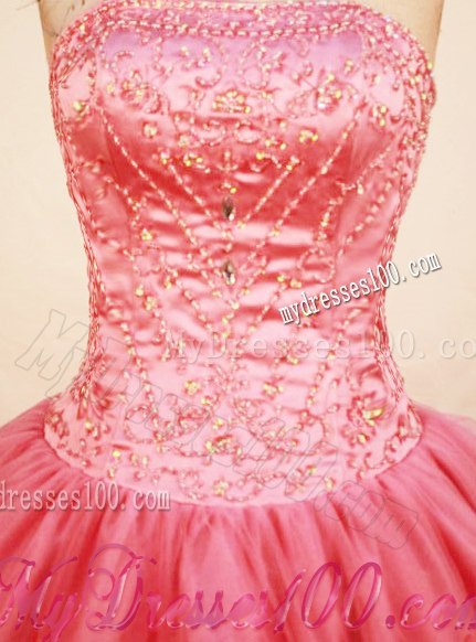 Modest Ball Gown Sweet sixteen dresses Decorated by Jewelries and Appliques