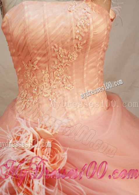 One Shoulder Neck Quinceanea Dresses with Appliques and Crystal
