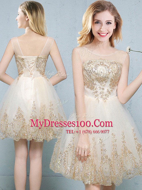 Fantastic Scoop Sleeveless Mini Length Appliques Lace Up Quinceanera Dama Dress with Champagne