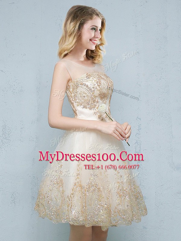 Fantastic Scoop Sleeveless Mini Length Appliques Lace Up Quinceanera Dama Dress with Champagne