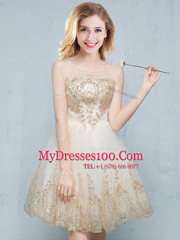 Fantastic Scoop Sleeveless Mini Length Appliques Lace Up Quinceanera Dama Dress with Champagne