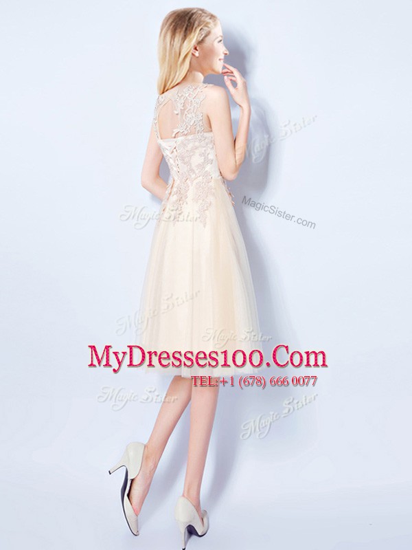 Noble Scoop Champagne Sleeveless Tulle Lace Up Quinceanera Court Dresses for Prom and Party and Wedding Party