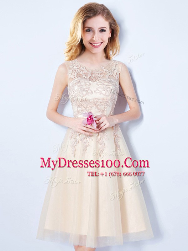 Noble Scoop Champagne Sleeveless Tulle Lace Up Quinceanera Court Dresses for Prom and Party and Wedding Party