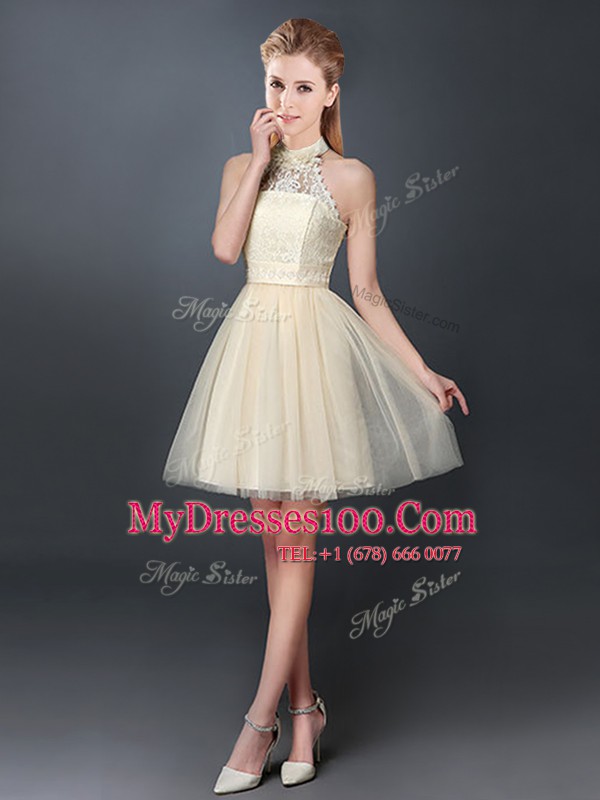 Halter Top Champagne Sleeveless Tulle Lace Up Quinceanera Court Dresses for Prom and Party and Wedding Party