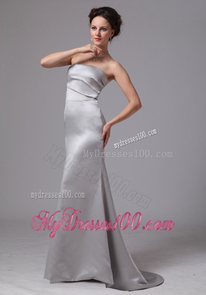 Simple Sliver Column Celebrity Dress For Customize on Sale in 2013