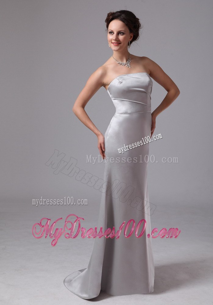 Simple Sliver Column Celebrity Dress For Customize on Sale in 2013