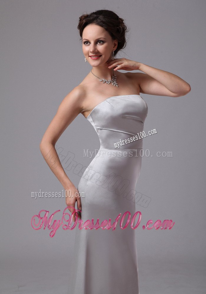 Simple Sliver Column Celebrity Dress For Customize on Sale in 2013