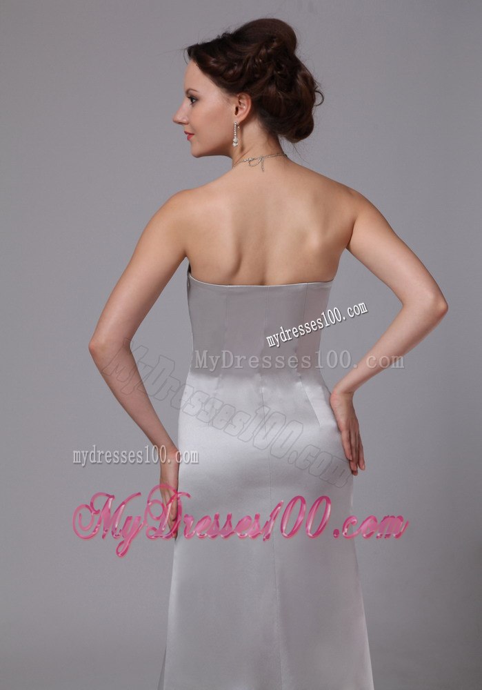 Simple Sliver Column Celebrity Dress For Customize on Sale in 2013