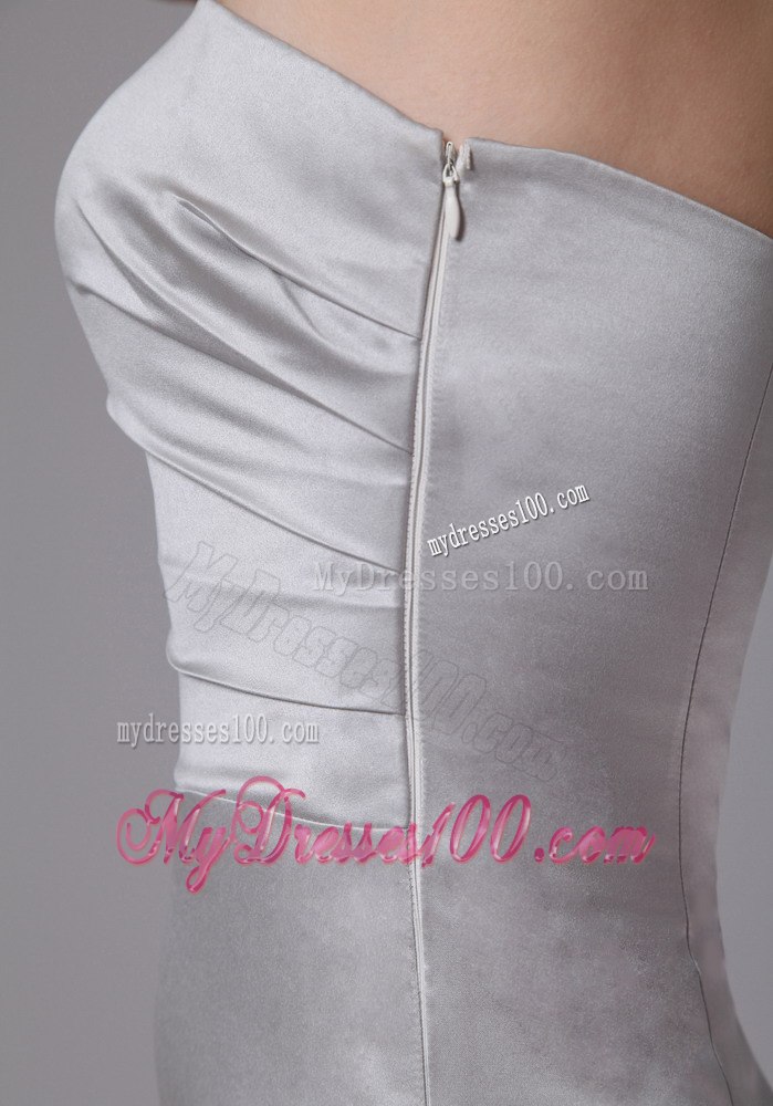 Simple Sliver Column Celebrity Dress For Customize on Sale in 2013