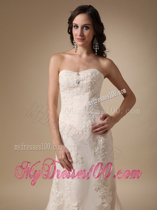 Wonderful Column Sweetheart Court Train Appliques Wedding Dress