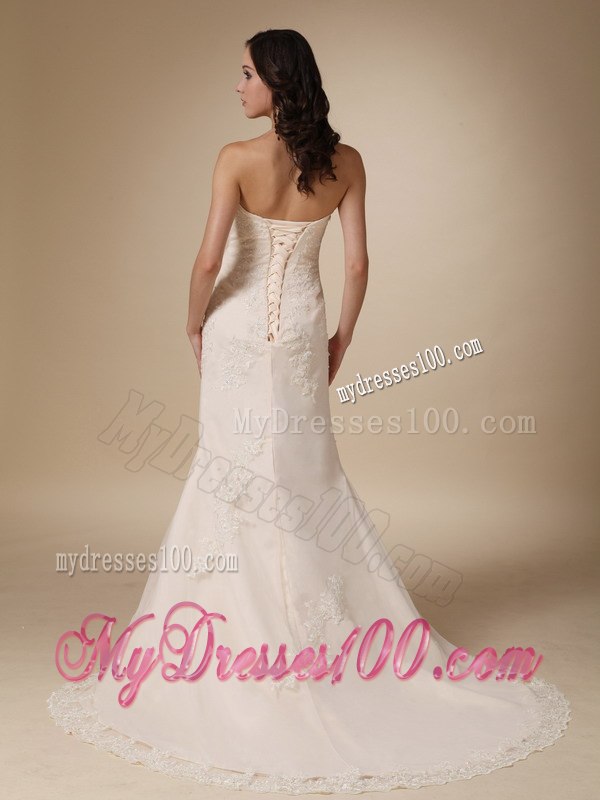 Wonderful Column Sweetheart Court Train Appliques Wedding Dress