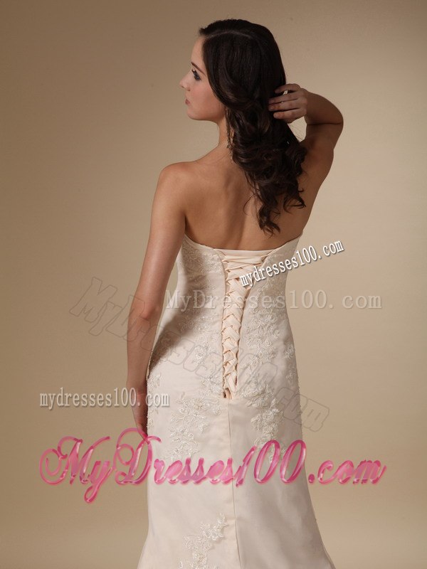 Wonderful Column Sweetheart Court Train Appliques Wedding Dress