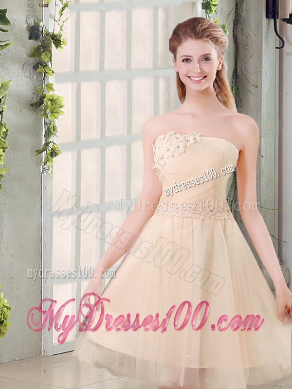 Champagne A Line Strapless Appliques Dama Dress