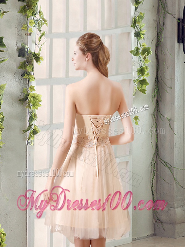 Champagne A Line Strapless Appliques Dama Dress