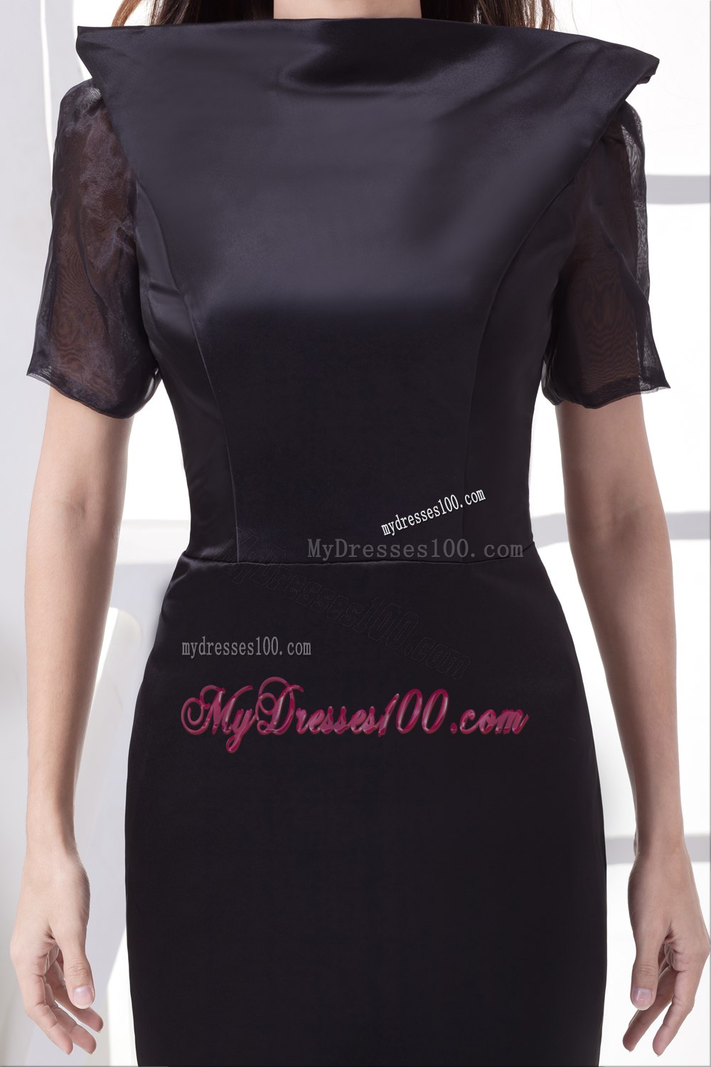 Full Front Backless Mermaid with Chapel Train Mothers Dress