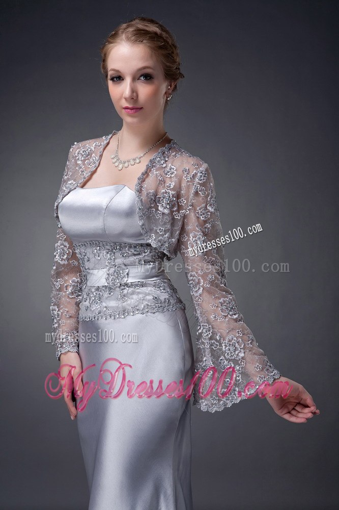 Lace Covered Waist Modern Mothers Dress For Weddings in Sliver