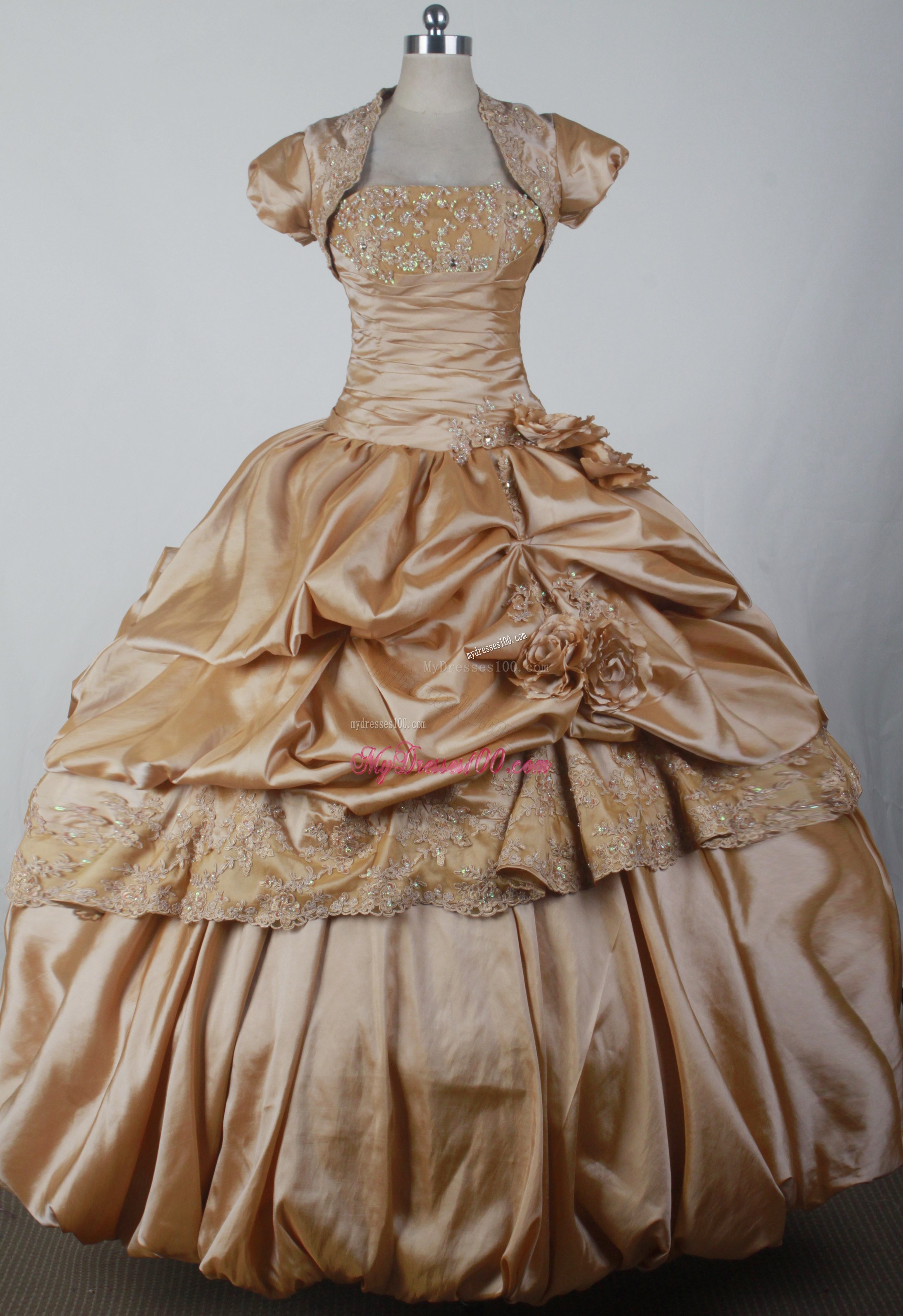 Floral and Appliqued Brown Quinceanera Dress with Jacket