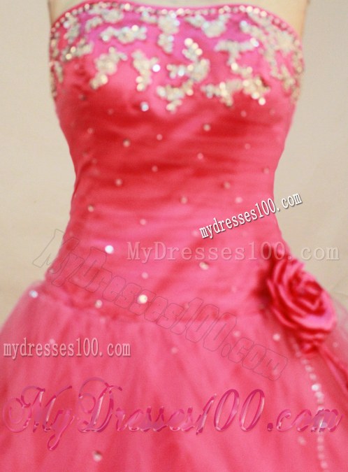 Beading Applique Decorate Quinceanera Gowns with Handle Flower