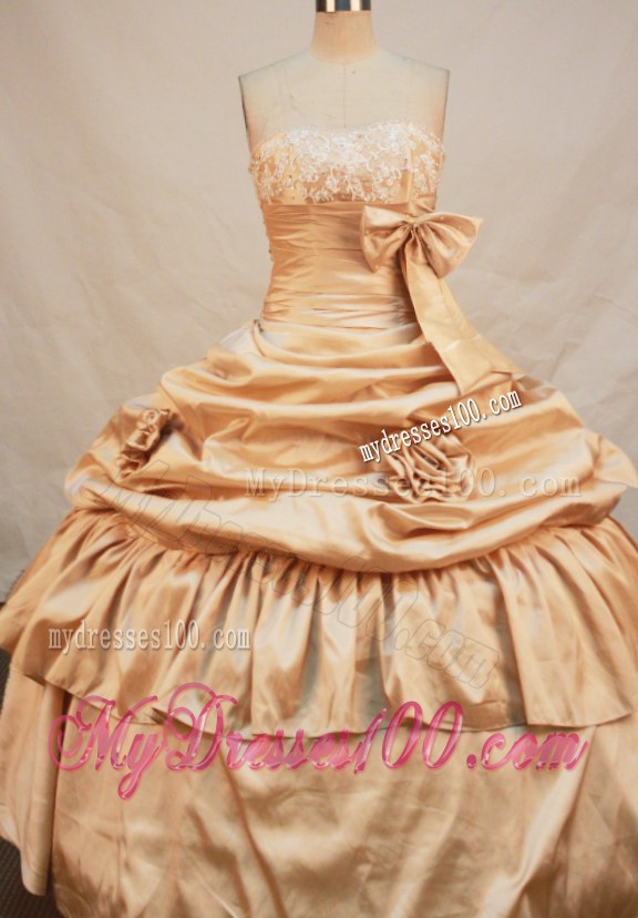 Flowers and Pick-ups Decorate Champagne Dress for Quinceanera