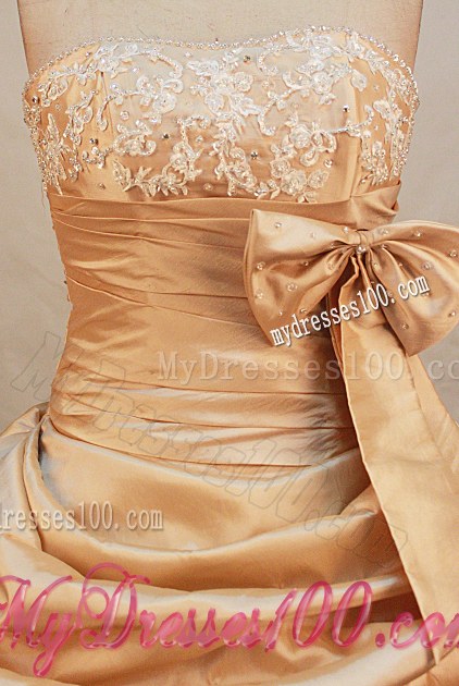 Flowers and Pick-ups Decorate Champagne Dress for Quinceanera