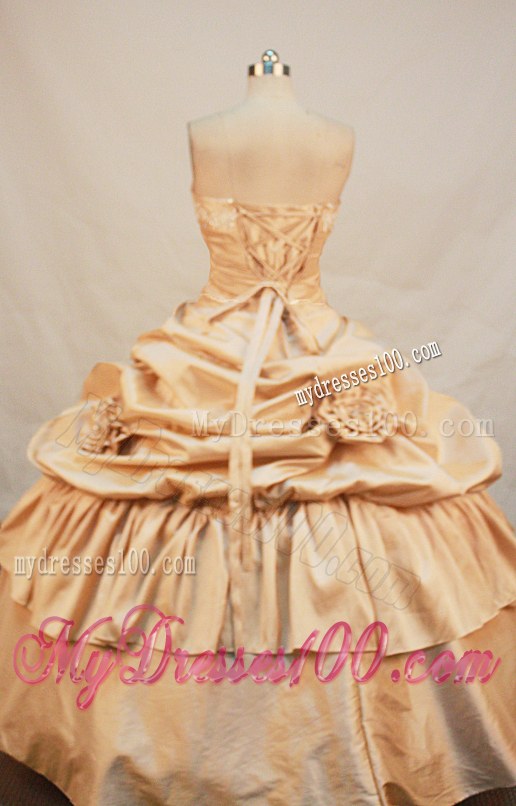 Flowers and Pick-ups Decorate Champagne Dress for Quinceanera