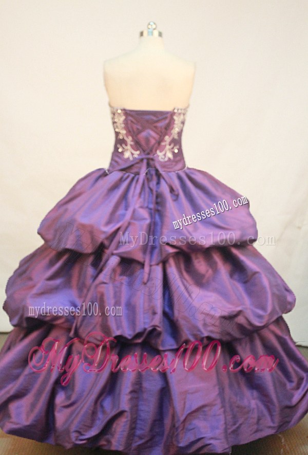 Embroidery Ball Gown Pick-ups Quinceanera Dresses in Purple