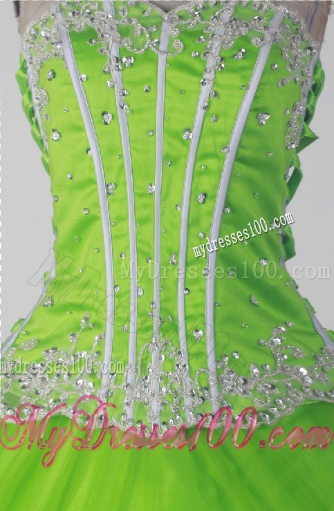 Beaded and Appliqued Sweet 16 Quinceanera Dress in Spring Green