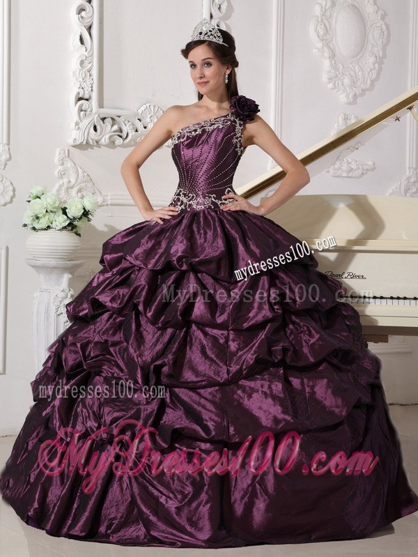 Dark Purple Ball Gown One Shoulder Floor-length Taffeta Applique