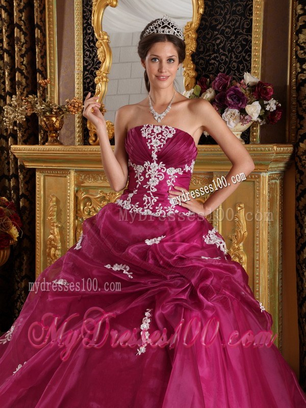 Appliques Fuchsia Strapless Organza and Satin Quinceanera Dresses