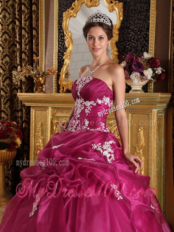 Appliques Fuchsia Strapless Organza and Satin Quinceanera Dresses