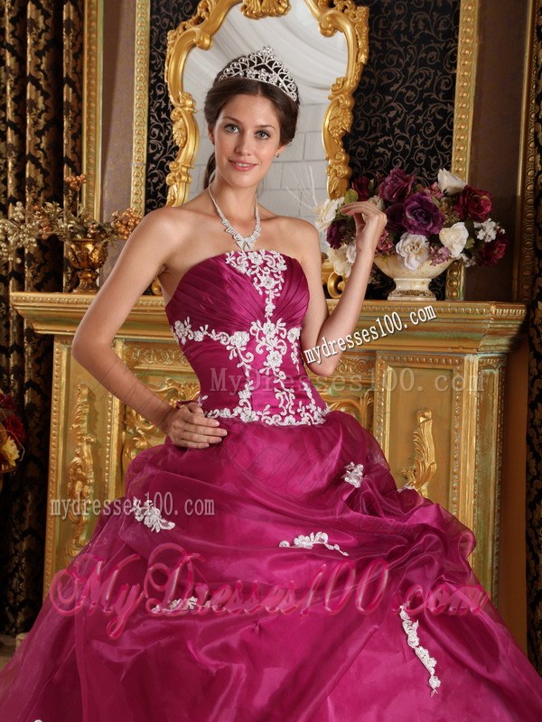 Appliques Fuchsia Strapless Organza and Satin Quinceanera Dresses