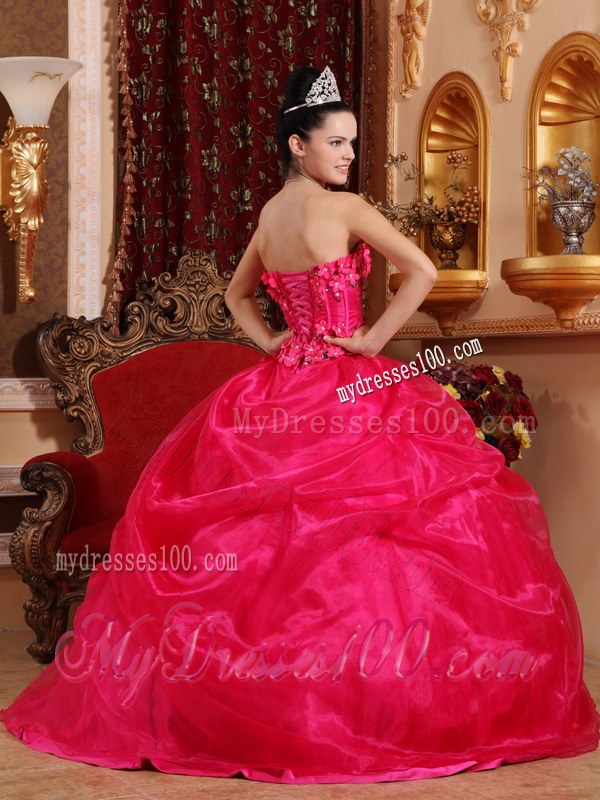 Hot Pink Strapless Quinceanera Dresses with Hand Made Flowers