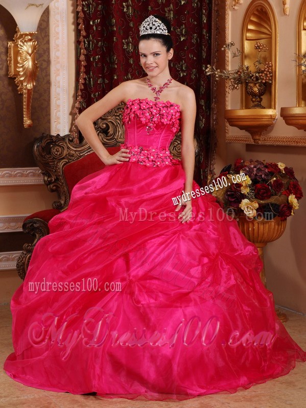 Hot Pink Strapless Quinceanera Dresses with Hand Made Flowers