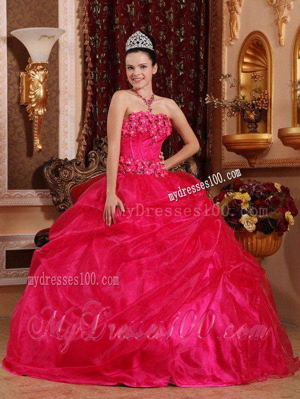 Hot Pink Strapless Quinceanera Dresses with Hand Made Flowers