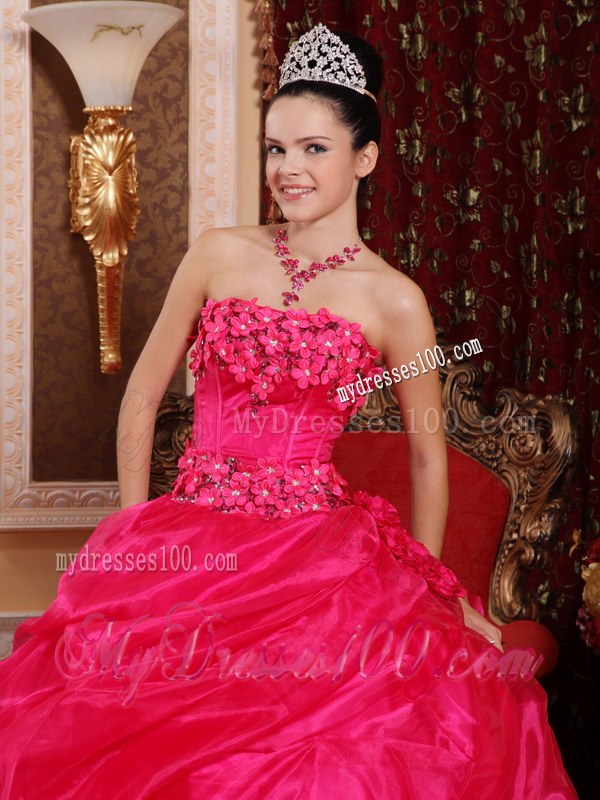 Hot Pink Strapless Quinceanera Dresses with Hand Made Flowers