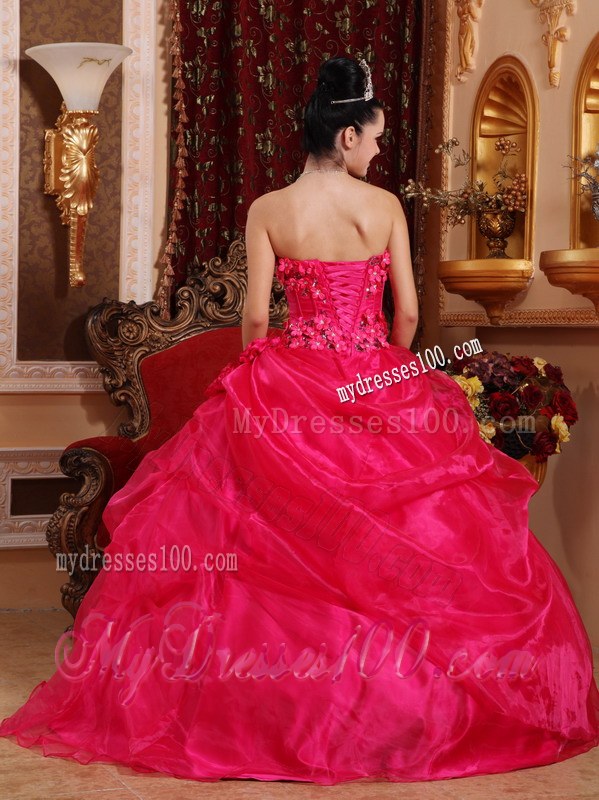 Hot Pink Strapless Quinceanera Dresses with Hand Made Flowers