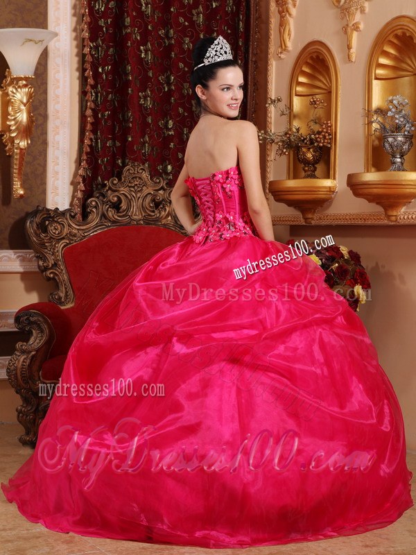 Hot Pink Strapless Quinceanera Dresses with Hand Made Flowers