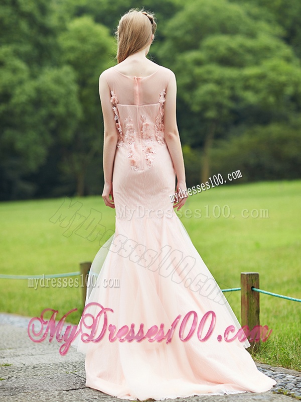 Luxurious See Through Light Pink Mermaid Dama Dress with Brush Train