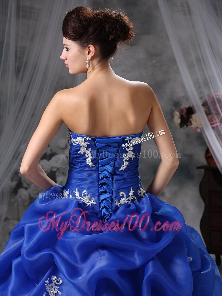 Blue Ball Gown Sweetheart Floor-length Organza Appliques Quincea